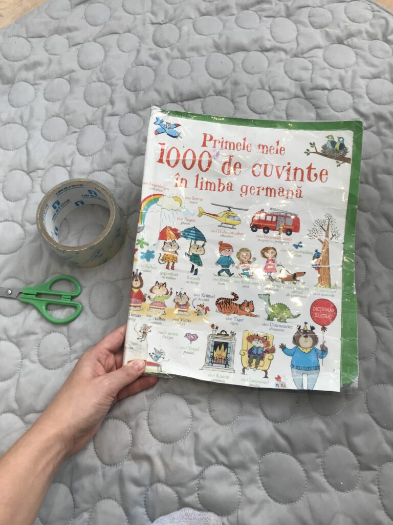 Romanian book to learn German